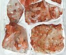 Lot: Natural, Red Quartz Crystal Clusters - Pieces #101534-2